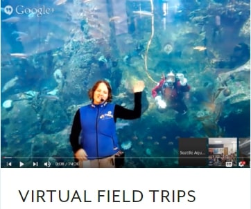 Seattle-Aquarium-Virtual-Field-Trips